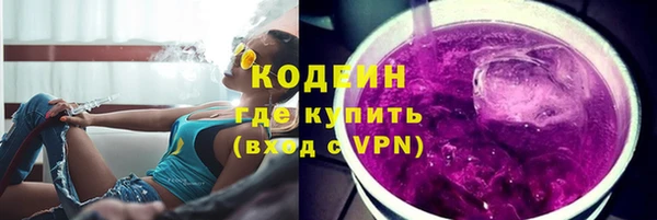 дурь Бородино