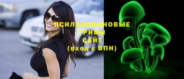 дурь Бородино