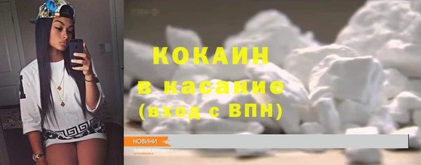 дурь Бородино