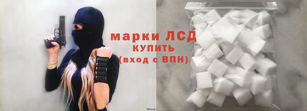 дурь Бородино