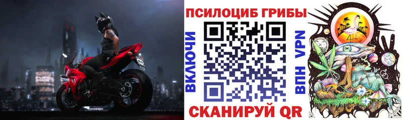 Купить закладки  Горячий Ключ  Галлюциногенные грибы MAGIC MUSHROOMS 